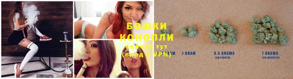 прущие грибы Алзамай