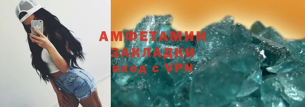прущие грибы Алзамай